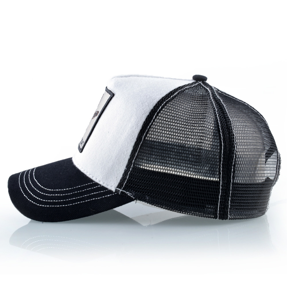 Mode Baseball Cap Mannen Vrouw - Streetwear Brand Beanie recensie en prijs